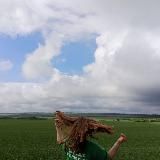 aliseforesty ️˗ˏˋ ౨ৎ ´ˎ˗