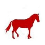 Comunidad Espanholito