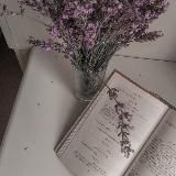 тысяча зим и две из них принадлежат миори