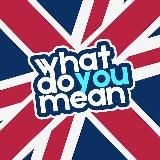 What Do You Mean?