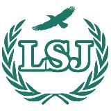 Libertarian Social Justice