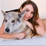 PETS BY KATERINA | валяние