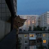 Вид из твоего окна