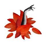 креп ды шим