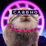 ГЕЙМЕРАЧ 🎮🌴