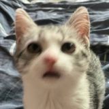 не мем, а жизнь ✌🏻