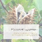 Русский дурман