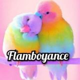 F L A M B O Y A N C E