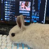 КЭШ НА ONLYFANS