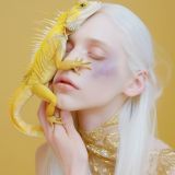 Фотографи та моделі Дніпра: Фотосходки, воркшопи, майстеркласи та спілкування 🇺🇦