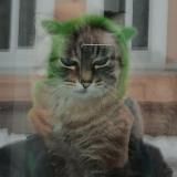 Здесь Бутолина