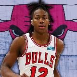 Дреды Досунму | Chicago Bulls