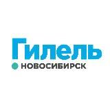 Гилель в Новосибирске