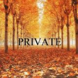 🍁Осенний Лес🍂