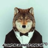 Gruppo Ufficiale Telegram SteHCW EnKi