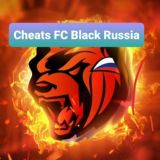 Elsun Media | Слив читов BR