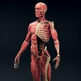 Книги онлайн