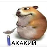 Под прикрытием