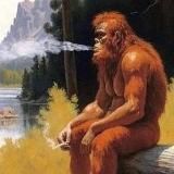 ⚡I feed dogs chocolate⚡🇪🇺