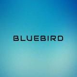 Bluebird Штучный