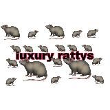 Luxury rattys🐀