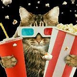 𝗦𝗜𝗞𝗦𝗔 𝗞𝗨𝗕𝗨𝗥 🔥 FILM