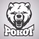 НВП РОКОТ Z Ростов