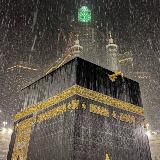 ᶜʰⁱᶜᵃᵍᵒ 😼