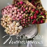 Дом Цветов и подарков Краснодар 🌸