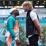 Фанаты MMA FIGHT CLUB