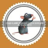 СНГ Патофізіології