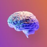 Узнай за 10 секунд🔥