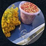 Авторынок Башкортостана