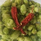 Бортовой журнал 🍻