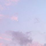 Мусульманка🧕🏻🌺