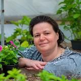 Рассада_цветов 🌱 от Елены