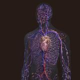 ЛФК ФИТНЕС ДИЕТОЛОГИЯ РЕАБИЛИТАЦИЯ МАНУАЛЬНАЯ ТЕРАПИЯ БИОХИМИЯ АДАПТИВНАЯ