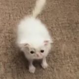 Коробочка мыслей одного фикрайтера_32