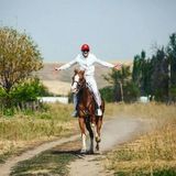 Toregali Toreali (Концерт)