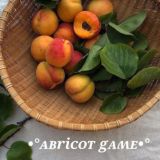 •𝐚𝐰𝐞𝐬𝐨𝐦𝐞 𝐠𝐚𝐦𝐞𝐬•