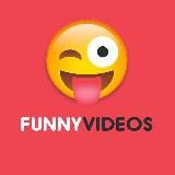 FUNNY VIDEOS
