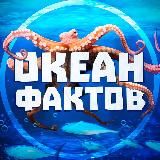 Океан Фактов