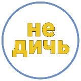 Не дичь из интернетов