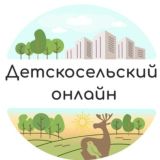 Детскосельский Онлайн💚