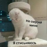 Коллекция стикеров