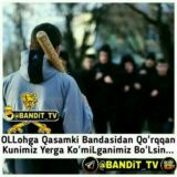 ᎡᎪᎠɴᴏʏʟᴀʀ.