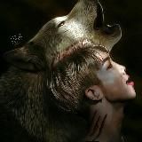 fanfiction by interest