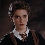 Diggory's diary.