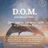 Дом дельфинов 🌊творческая лаборатория