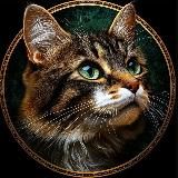 Murbes • Пушистый Юмор